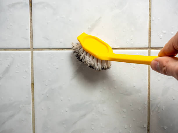 Office Mold Removal Services in Mohave Valley, AZ